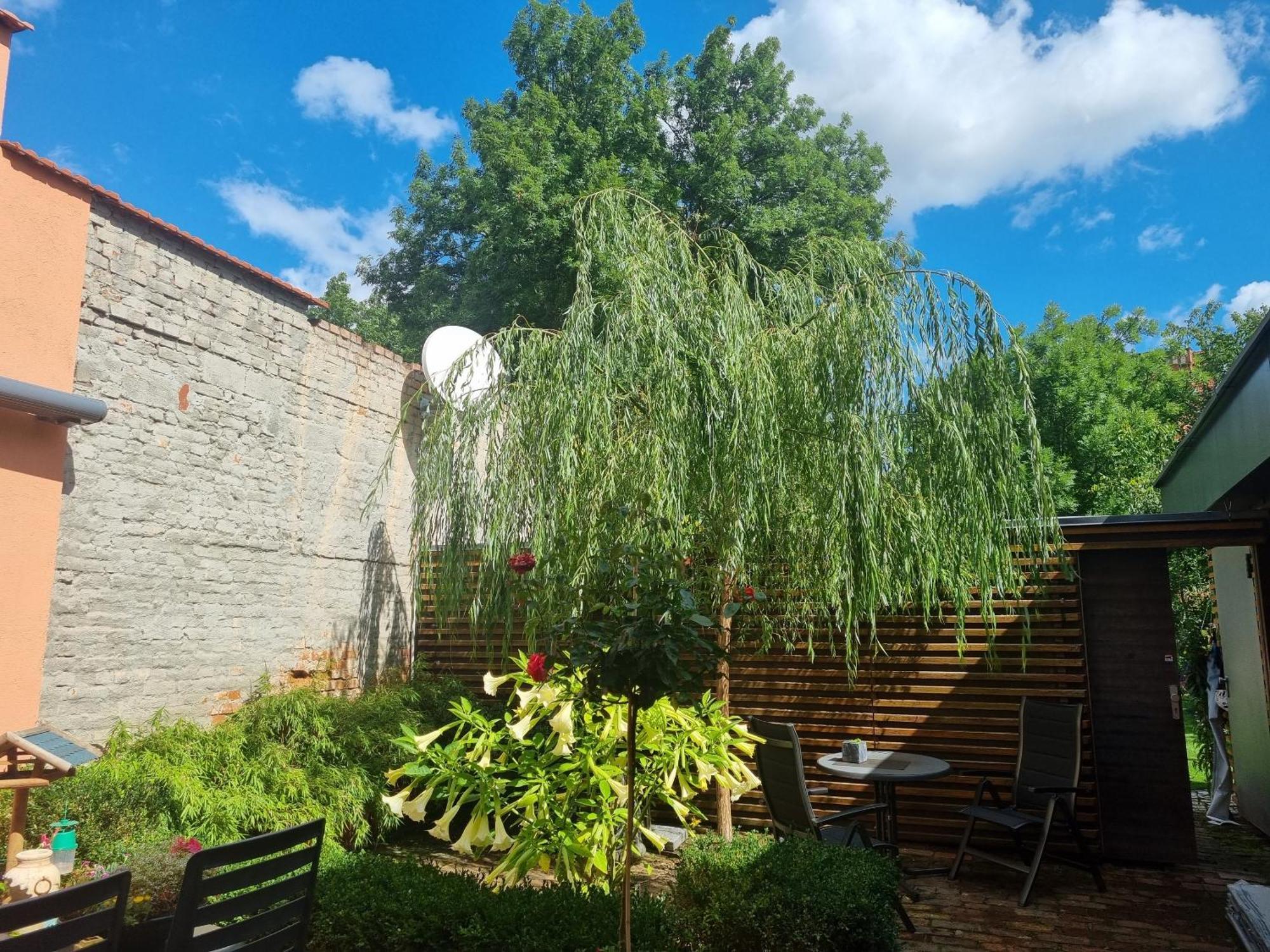 Apartments Junger-Moritz Erfurt Pokoj fotografie